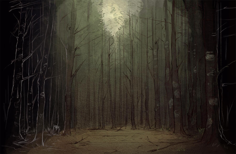 Illustration numérique représentant un forêt sombre.