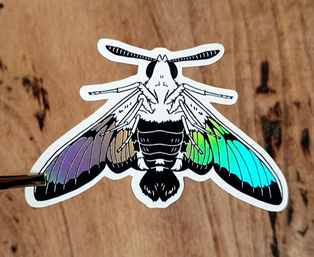 Ein holografischer Motten Aufkleber.