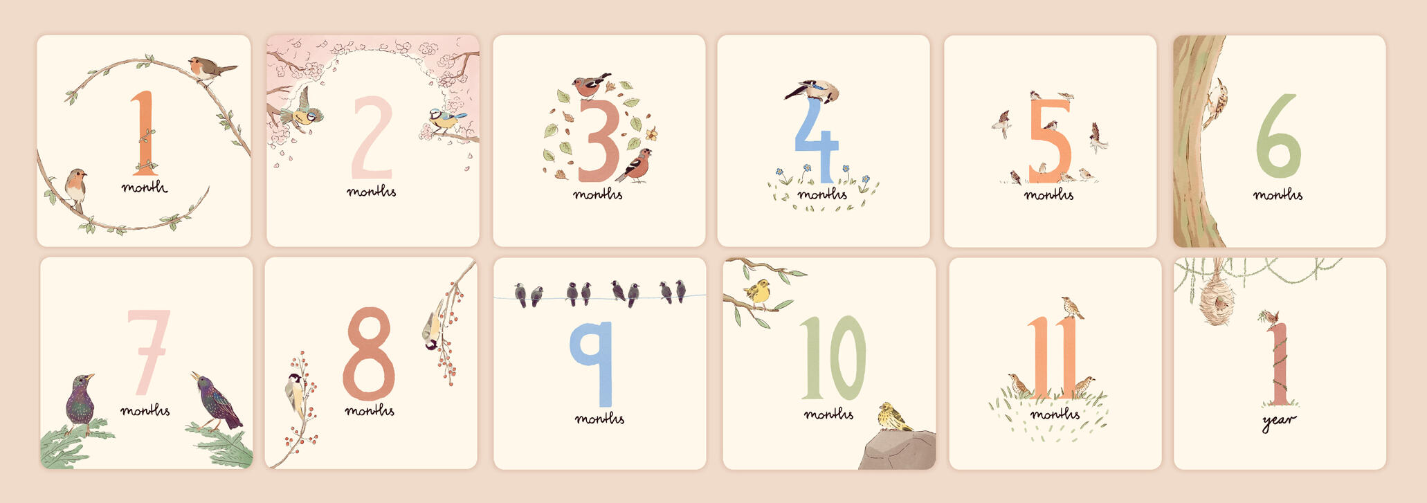 12 Digitale Illustrationen mit verschiedenen Sing- und Gartenvögeln.