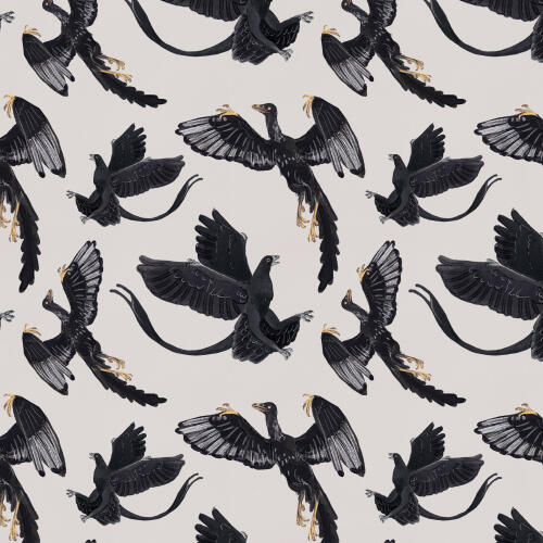 Archeopteryx Microraptor Repeat Pattern