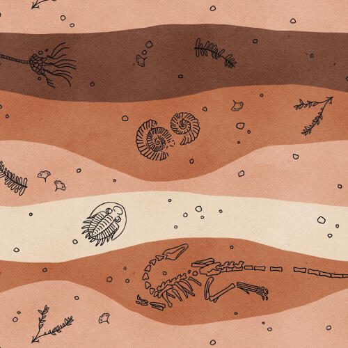 Erdschichten Muster mit Fossilmotiven