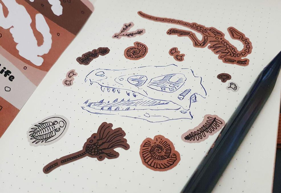 Fossil themed stickers.