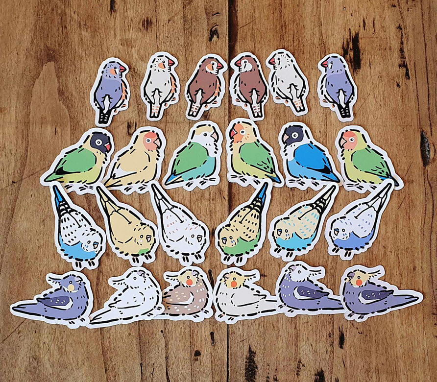 Different pet bird stickers depicting zebra finches, lovebirds, budgies and cockatiels.