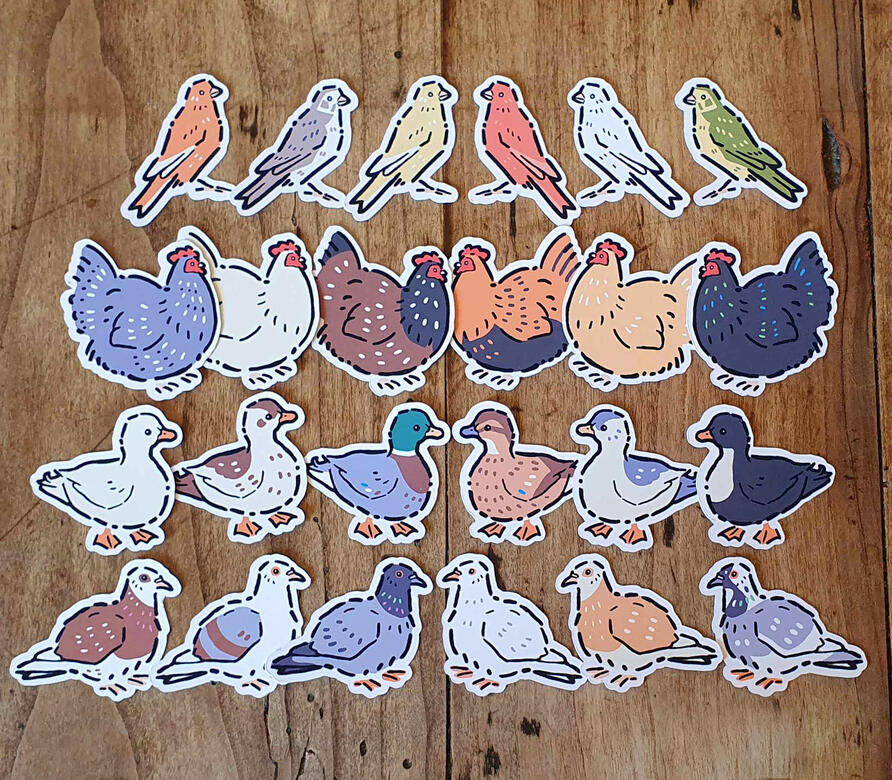 Different pet bird stickers depicting canaries, chickens, ducks and pigeons.