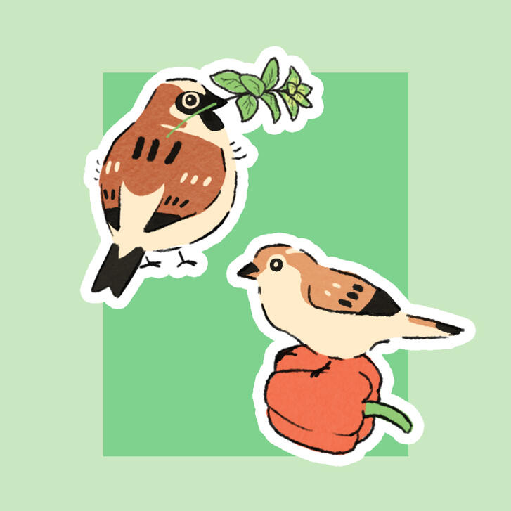 Digital Illustration of two sparrows with herbs and vegetables.