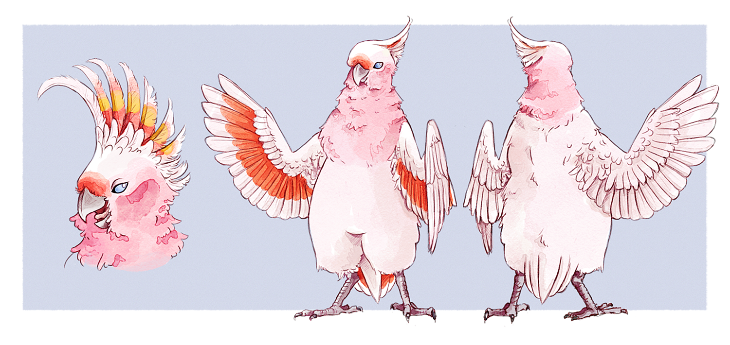 Reference sheet for a cockatoo character.